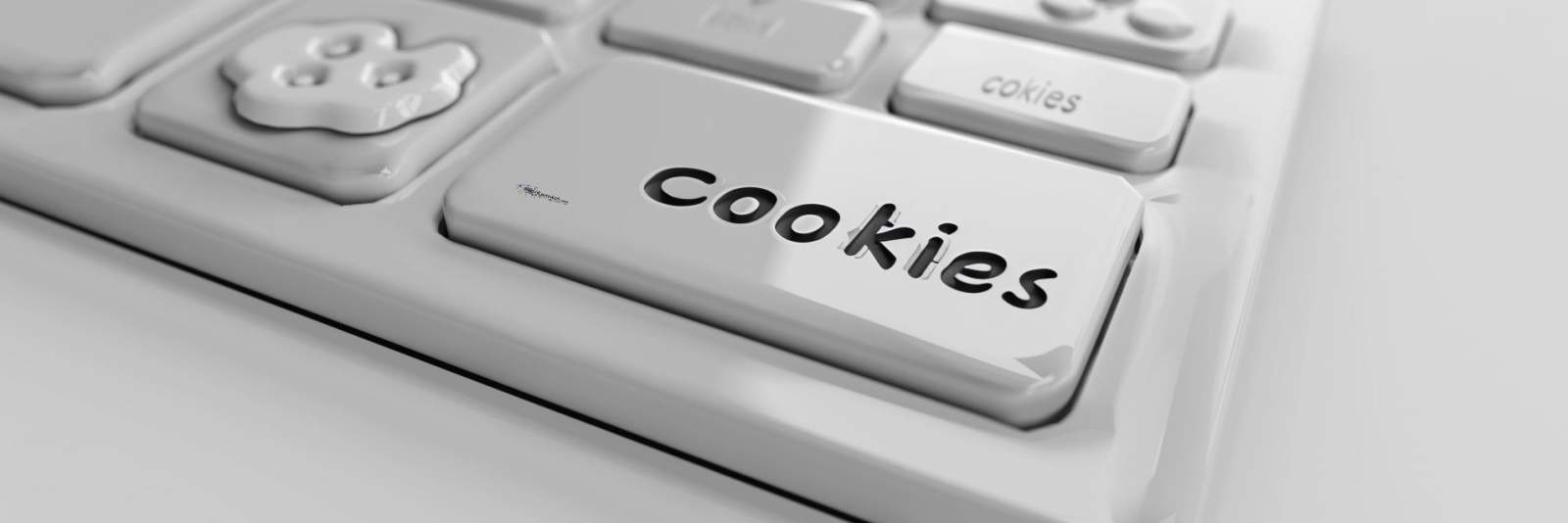 Cookie-Einstellungen auf der Wegeleitsystem-Webseite